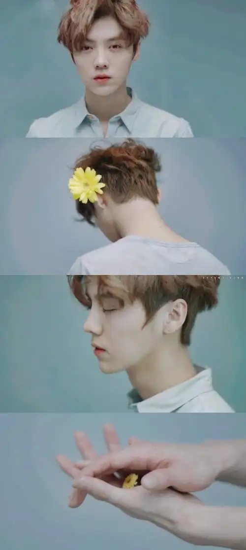 "wish you all the best"   鹿晗 67语录