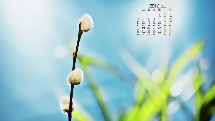 2016年1月 月历壁纸(一)10 - 1920x1080
