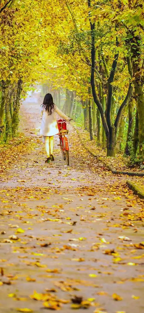 相关标签秋日清晨的背影上一图集:久别重逢的阳光,是否别来无恙下一