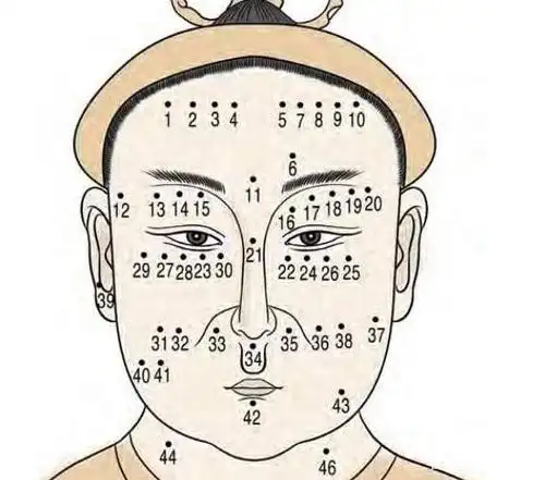 脸上有这个四种聚财的痣相,鸿运当头,财源滚滚来!