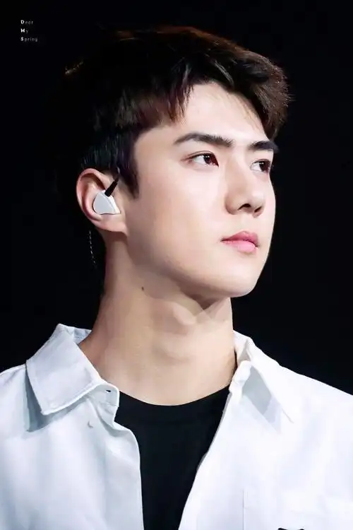 4世勋的理想型-吴世勋:我只喜欢你-话本小说网