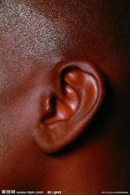 耳朵特写摄影图__女性女人_人物图库_摄影图库_昵图网nipic.com