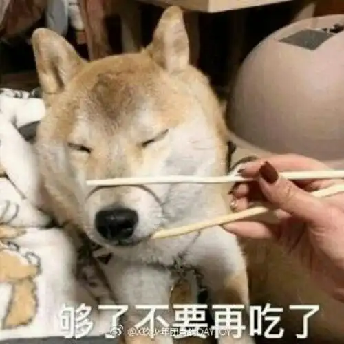 肖战用过的表情包第六弹 微博为什么不能发999 图片#肖战考古##肖战