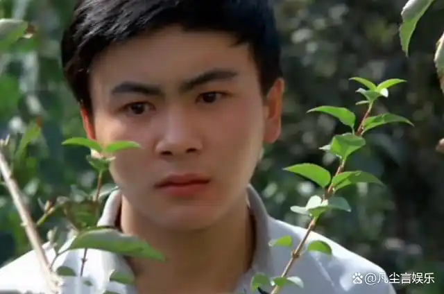 初代军艺校草洪剑涛,因一道伤疤,曾与贾宝玉一角失之交臂