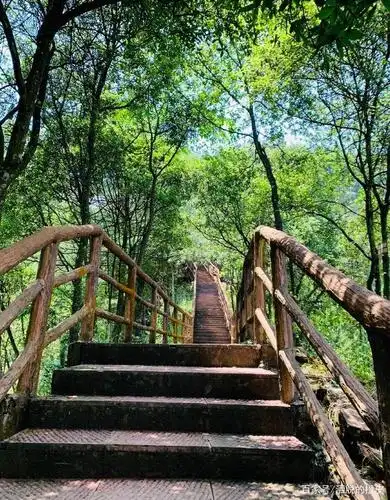 打卡地-重庆四面山森林风景区