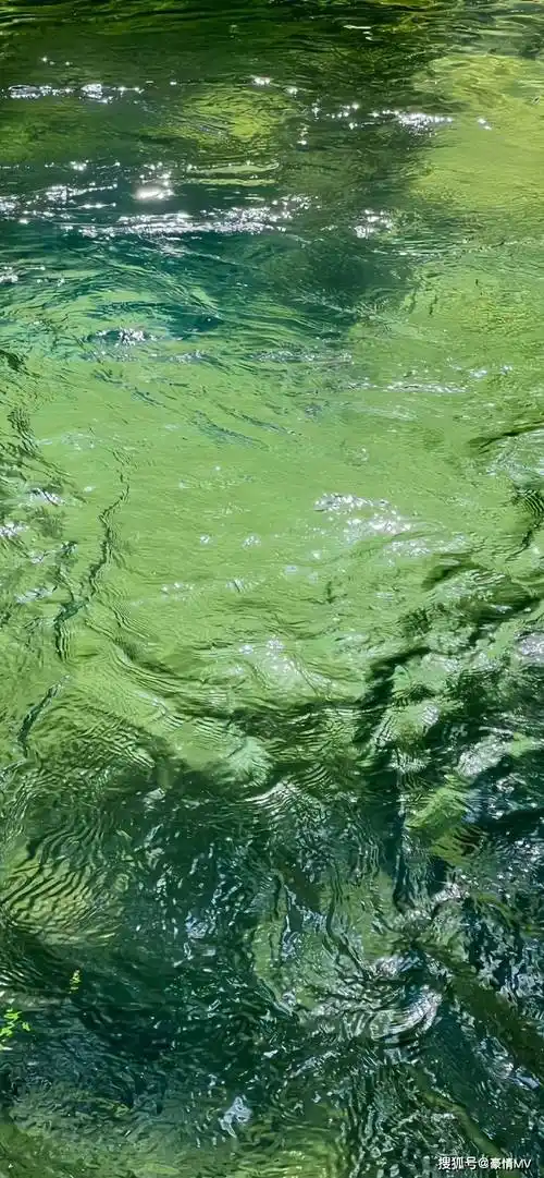 精选绿色系ins风壁纸无水印_高清绿色风格手机壁纸图片