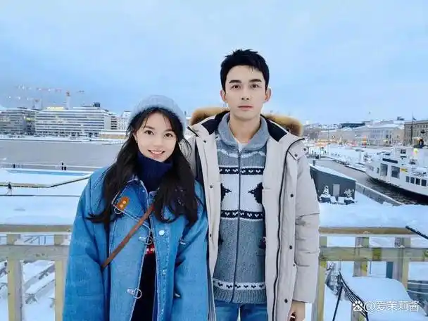 在暴雪时分收官后扑街都是吴磊演技惹的祸豆瓣开分仅69