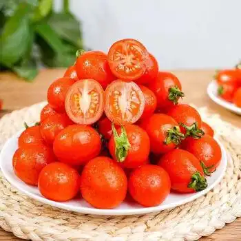 千禧圣女果农家自种千禧果酸甜可口小西红柿番茄水果 正宗山东圣女果