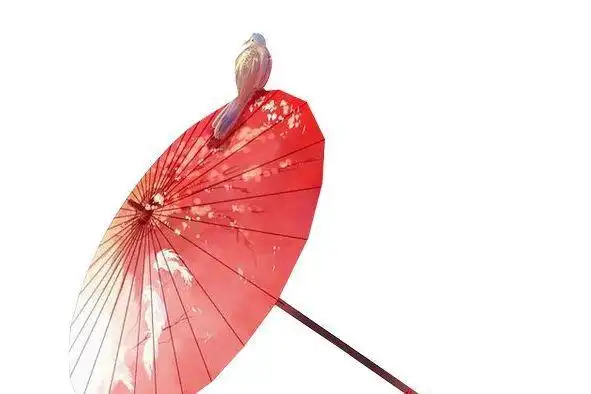 十二星座专属古风雨伞水瓶座血红凄美处女座纯白无瑕