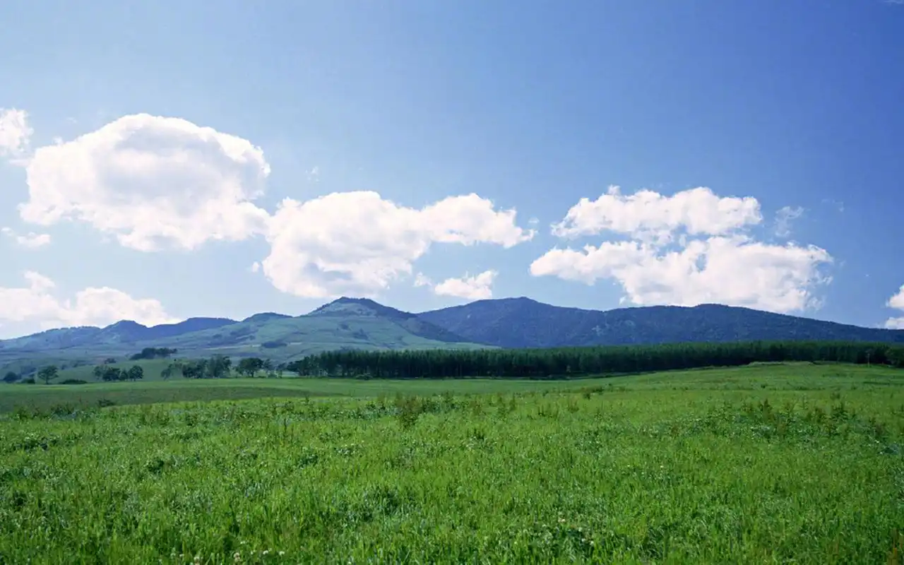 绿色草原高清风景图片桌面壁纸.一组绿色自然风景图片分享给大家.
