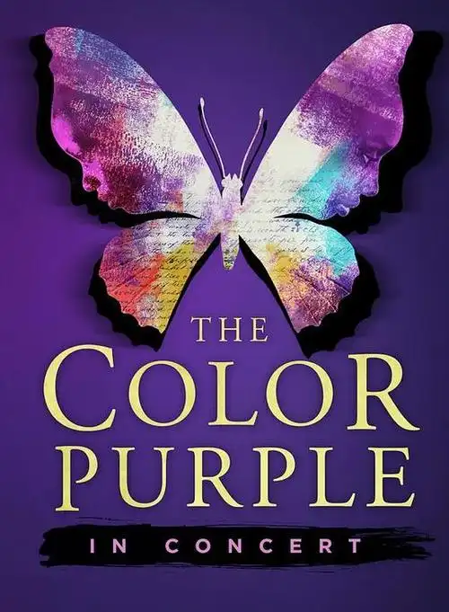 紫色the color purple的海报