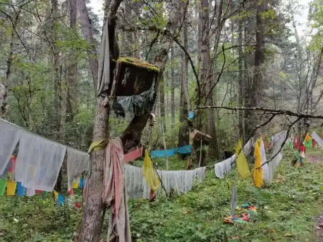 西藏|藏区|卓龙沟|卓龙|波密县