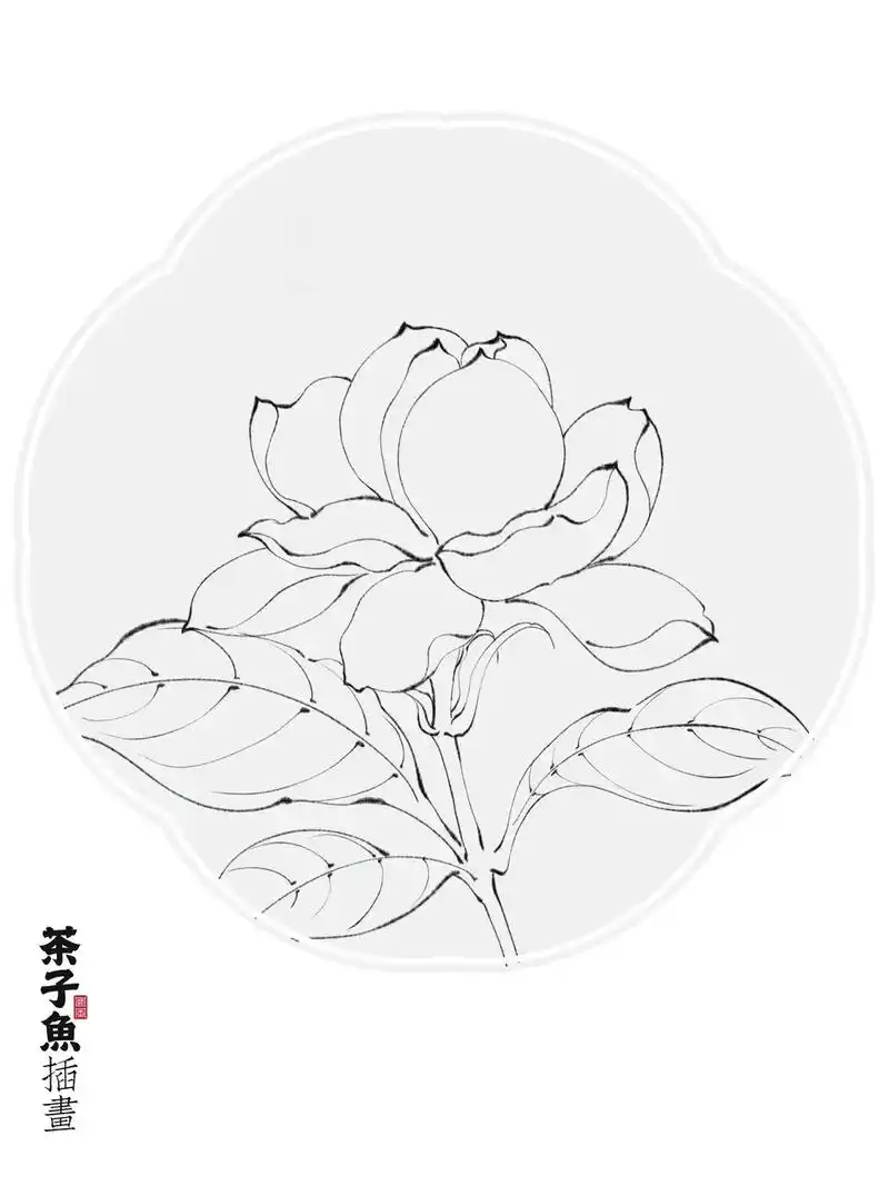 茉莉花 | 附样稿,线稿,色卡,图层