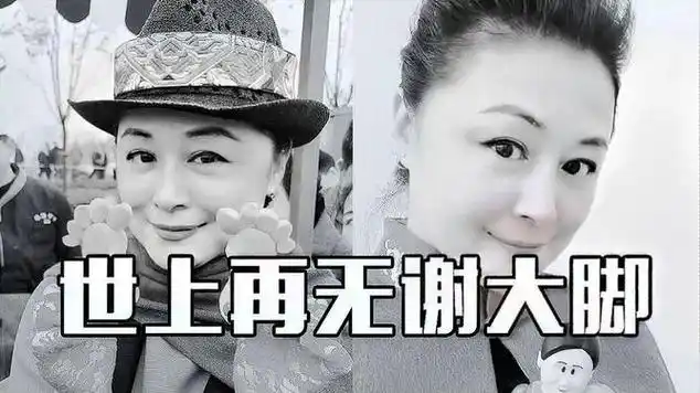 谢大脚经典角色混剪每一句都是满满的回忆看到最后泪目了