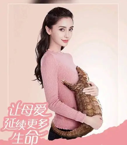 杨颖抱宝宝姿势显母性光环,手法专业!