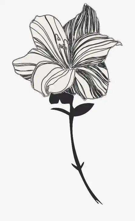矢量手绘黑白花朵