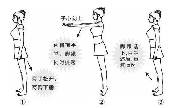 简单的踮脚尖,给身体加"暖气"!男人补肾强精,女人减肥瘦腿!