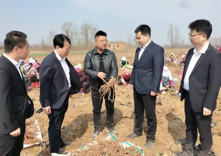 兴平南位镇乡村振兴产业兴