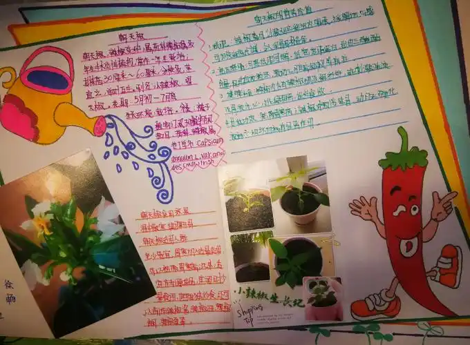 小辣椒成长记---德强小学2014级4班徐畅
