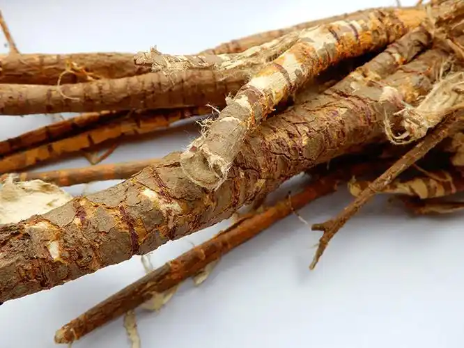 桑根皮桑白皮老桑树根皮老桑皮白桑皮洗头发晒干桑白皮 桑根皮3斤