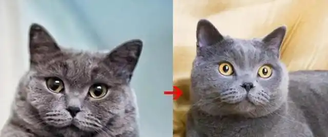 女性最大的敌人不是发胖,而是发腮!人脸随着年龄增长而二次发育