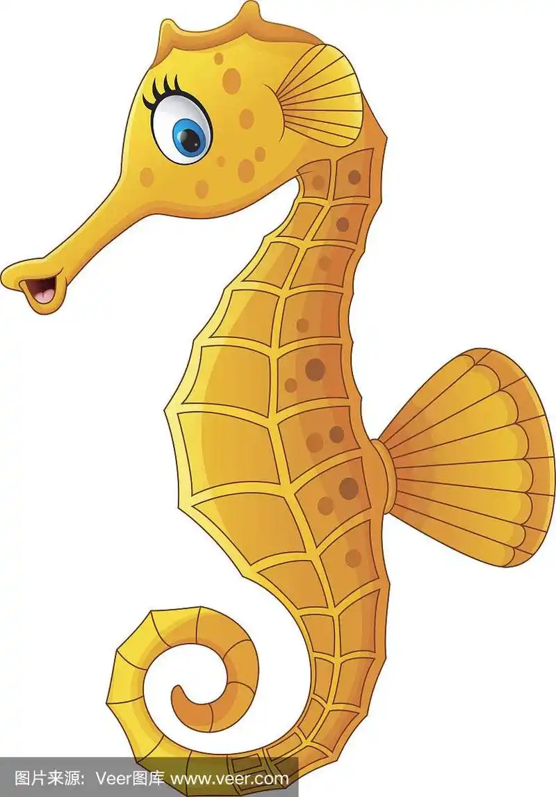 卡通可爱的海马