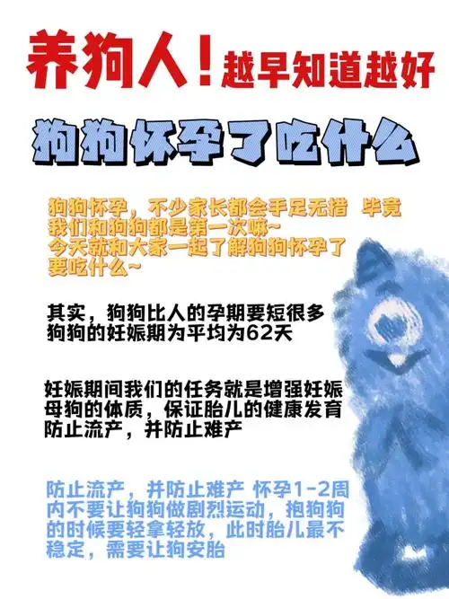 狗狗真假怀孕到底是宝宝还是