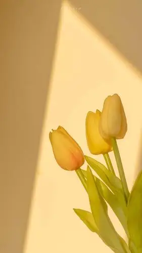 天变冷,壁纸就变暖了(暖色系)