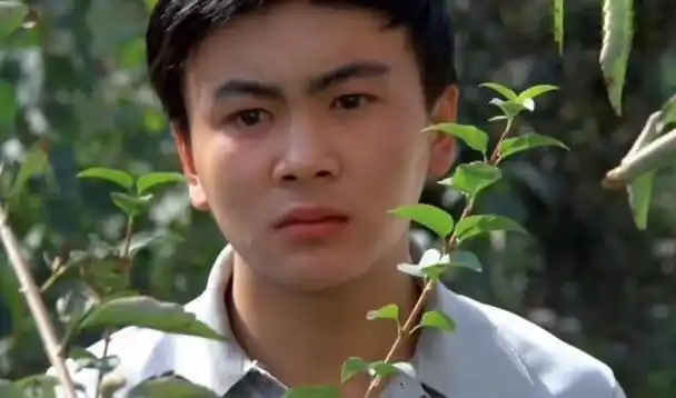 回顾军艺四大校草:名字都带三点水,中年发福,网友喊话杨洋挺住