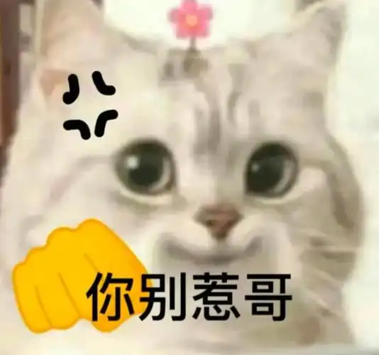 超级沙雕可爱表情包:快来选一张吧~ 拿图请顺便吱一声 很难有动力发图