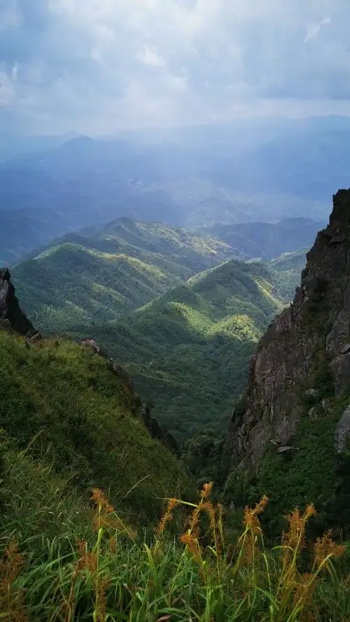 在阳光照射下,远处山峰金光闪闪,亮丽无比.