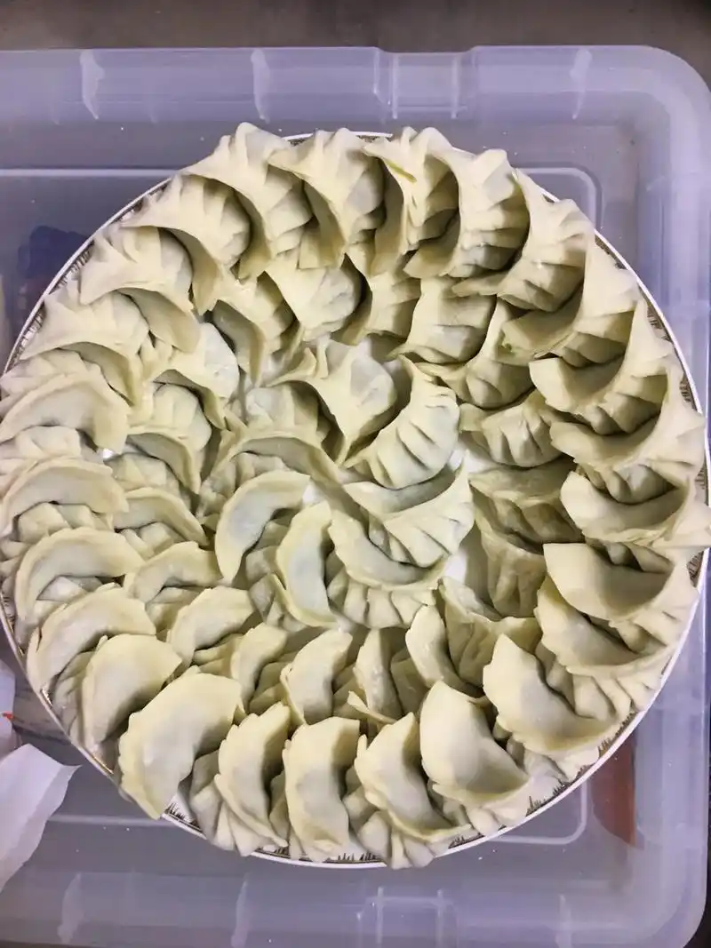 手工饺子  #自己动手丰衣足食 - 抖音