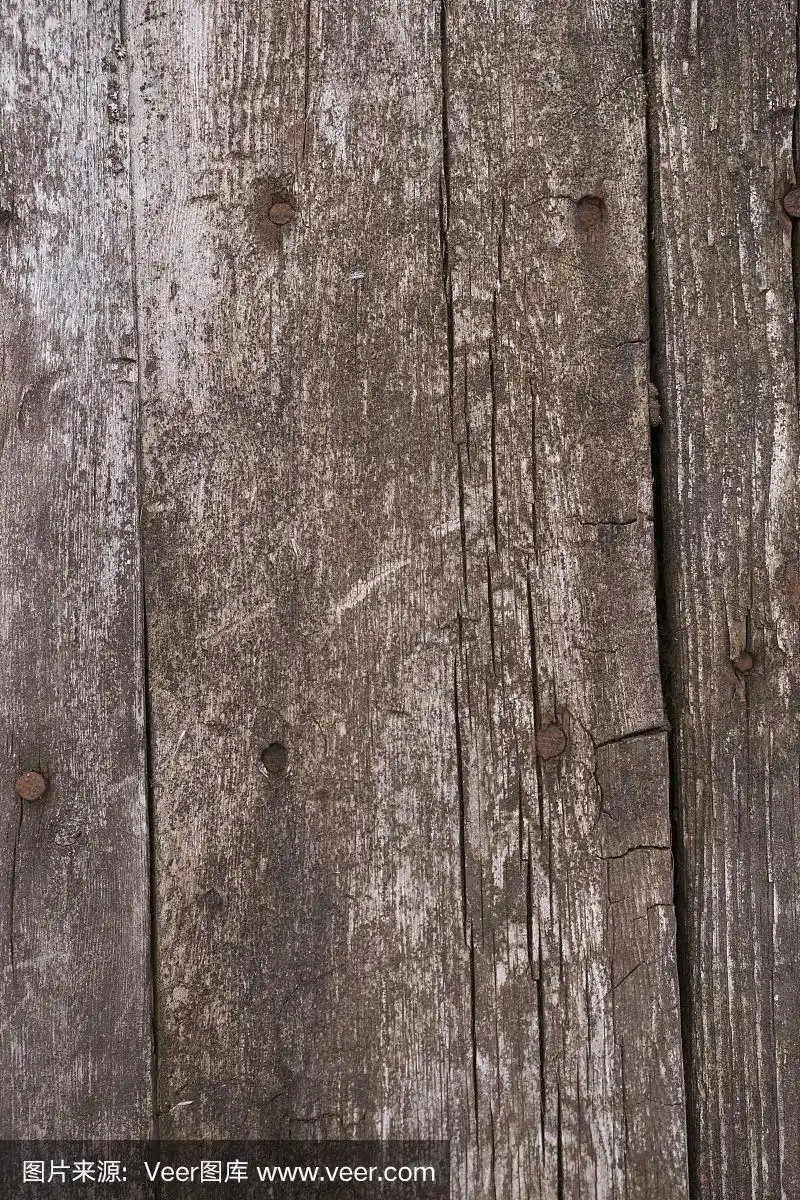 表面有苔藓和浮雕.老木板的旧木纹和苔藓的库存照片.