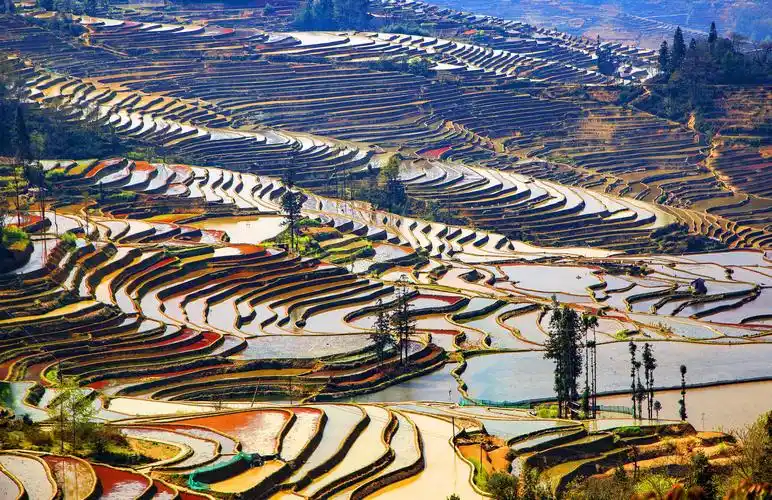 云南老虎嘴梯田