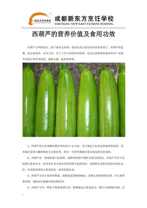 西葫芦的营养价值及食用功效