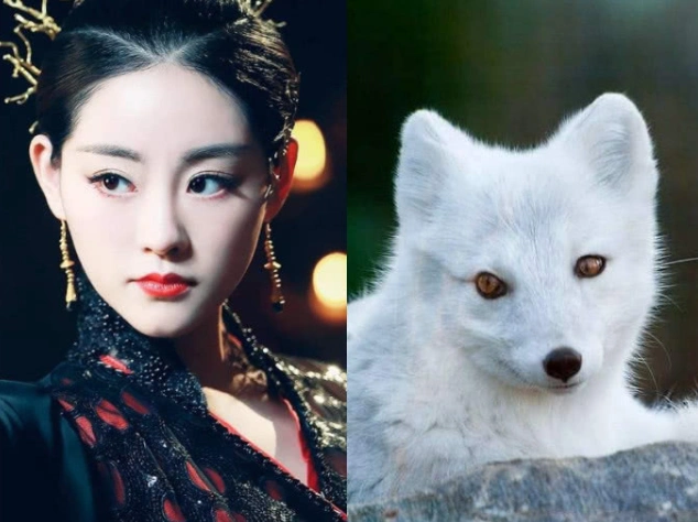 原创玄女真身vs白浅真身vs凤九真身,青丘颜值果然高,夜华:我呢