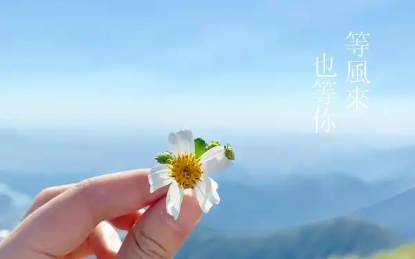 等风来 也等你设计图片