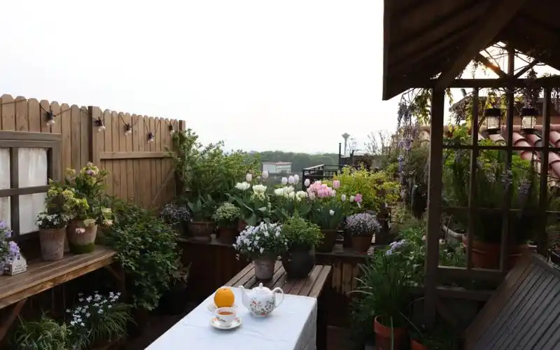 15平米小花园 春意盎然