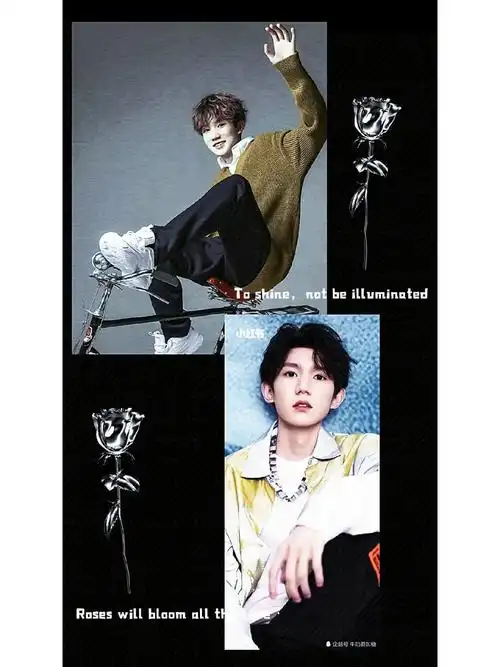 明星  #壁纸  #王源