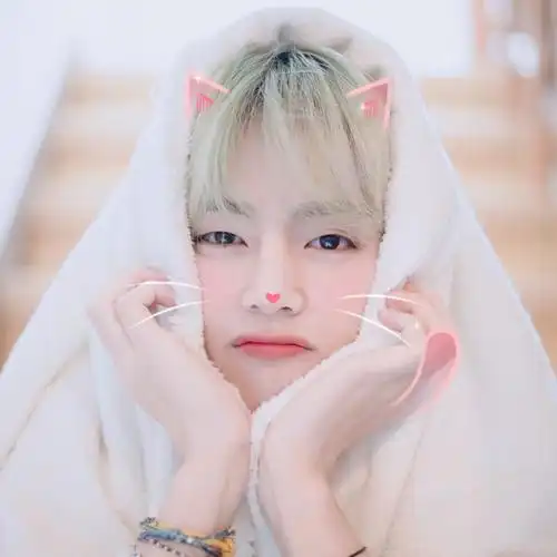 防弹少年团bts金泰亨