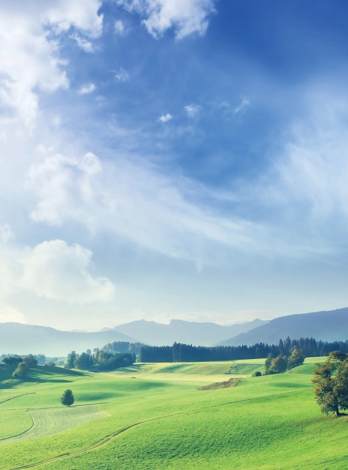 蓝天白云绿草地背景素材 - 当图网