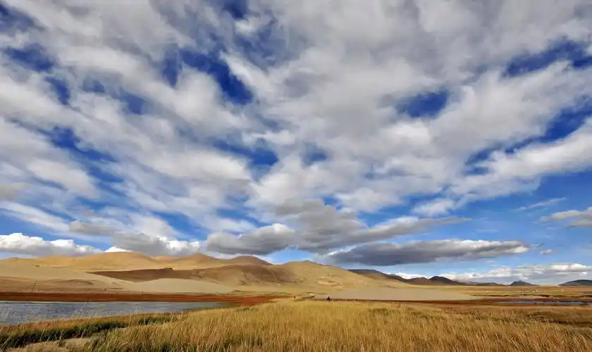 阿里无人区-草原湿地