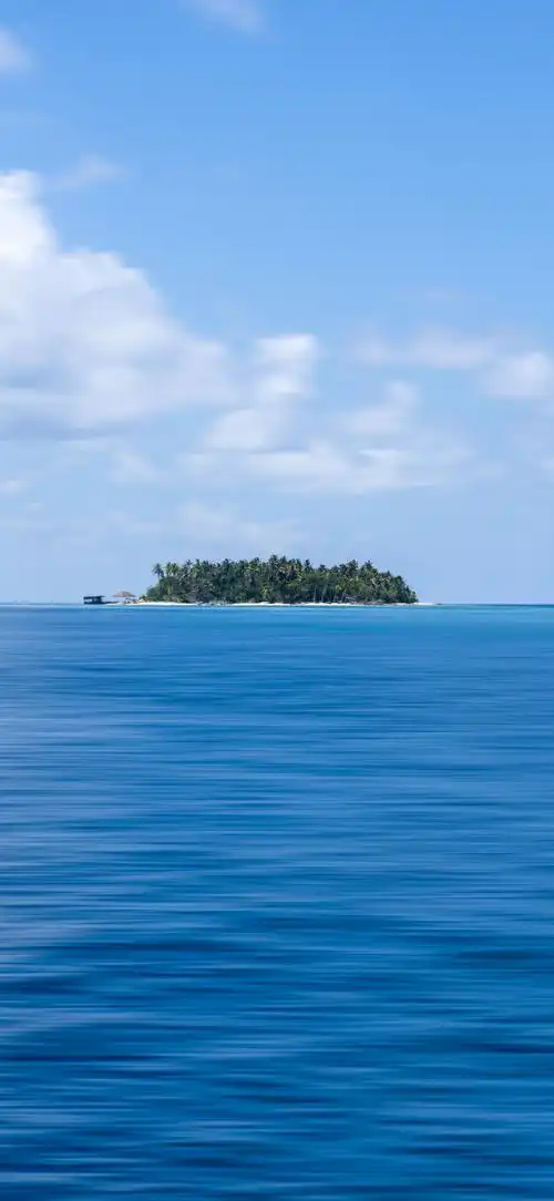 壁纸 桌面 690_1496 竖版 竖屏 手机