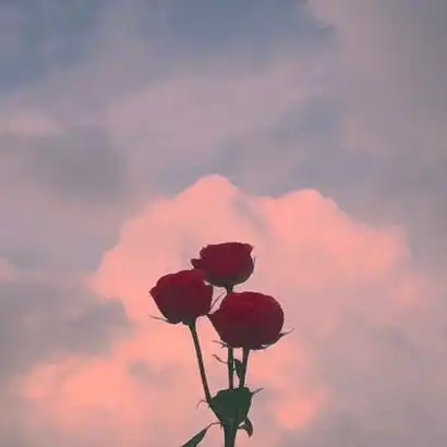 为什么现代人对爱情越来越没耐心了