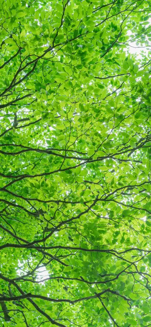 朋友圈文案##日常文案##微信状态背景图##小众壁纸##ins风壁纸##屎舷