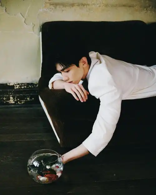 白敬亭工作室|白敬亭壁纸    我自己还蛮喜欢跟自己较劲这点的,稚少