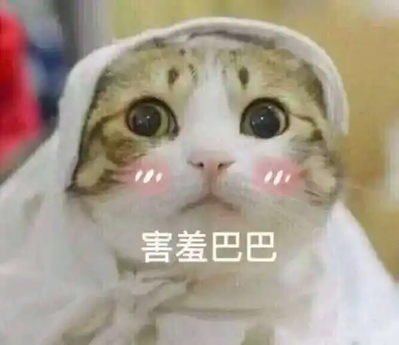 可爱gif猫咪gif脸红gif害羞巴巴gif