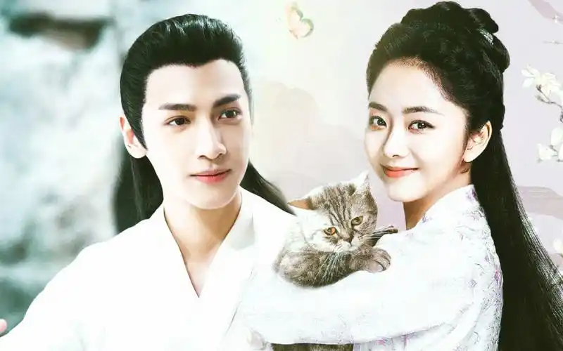 活动作品拉郎念念润玉x袁今夏罗云熙x谭松韵