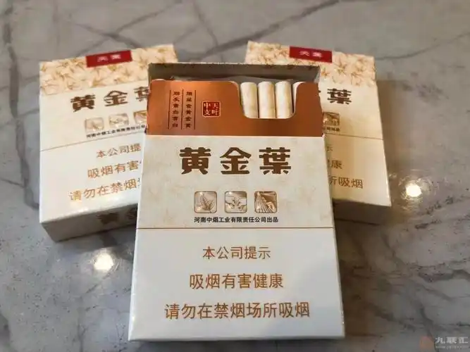 黄金叶天叶中支品鉴中