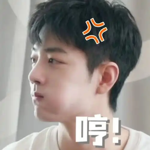 肖战表情包三十五弹